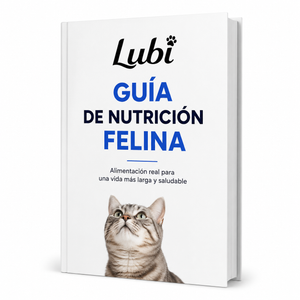 Regalo 1