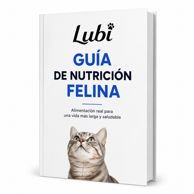 Regalo 1