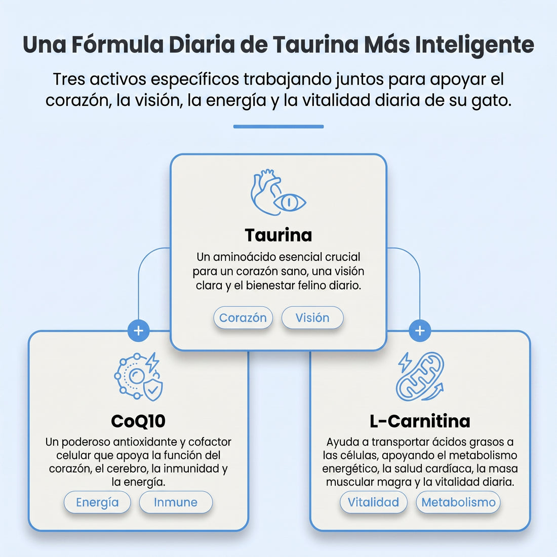 Lubi Taurina Premium para Gatos — Corazón Fuerte, Visión Clara y Más Energía foto 3